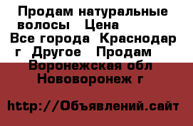Продам натуральные волосы › Цена ­ 3 000 - Все города, Краснодар г. Другое » Продам   . Воронежская обл.,Нововоронеж г.